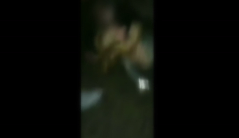 VIDEO +18 // O adolescentă a fost bătută cu bestialitate de către o altă fată, la Nisporeni